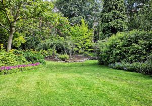 Optimiser l'expérience du jardin à Pournoy-la-Chetive